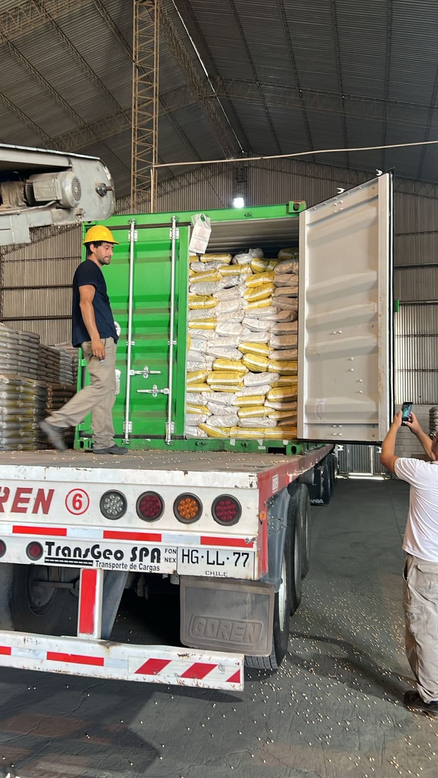 Equipo de Viel Agro Global cargando un contenedor de exportación