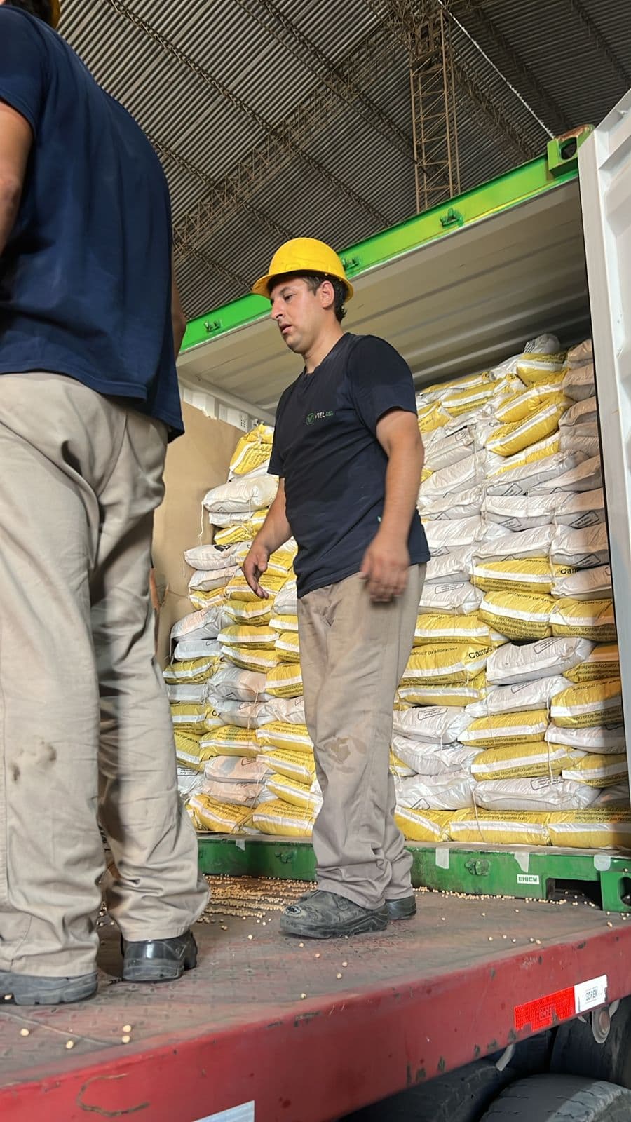 Equipo de Viel Agro Global durante la carga de un contenedor de exportación