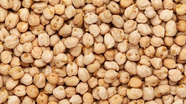 Garbanzo de exportación de Viel Agro Global