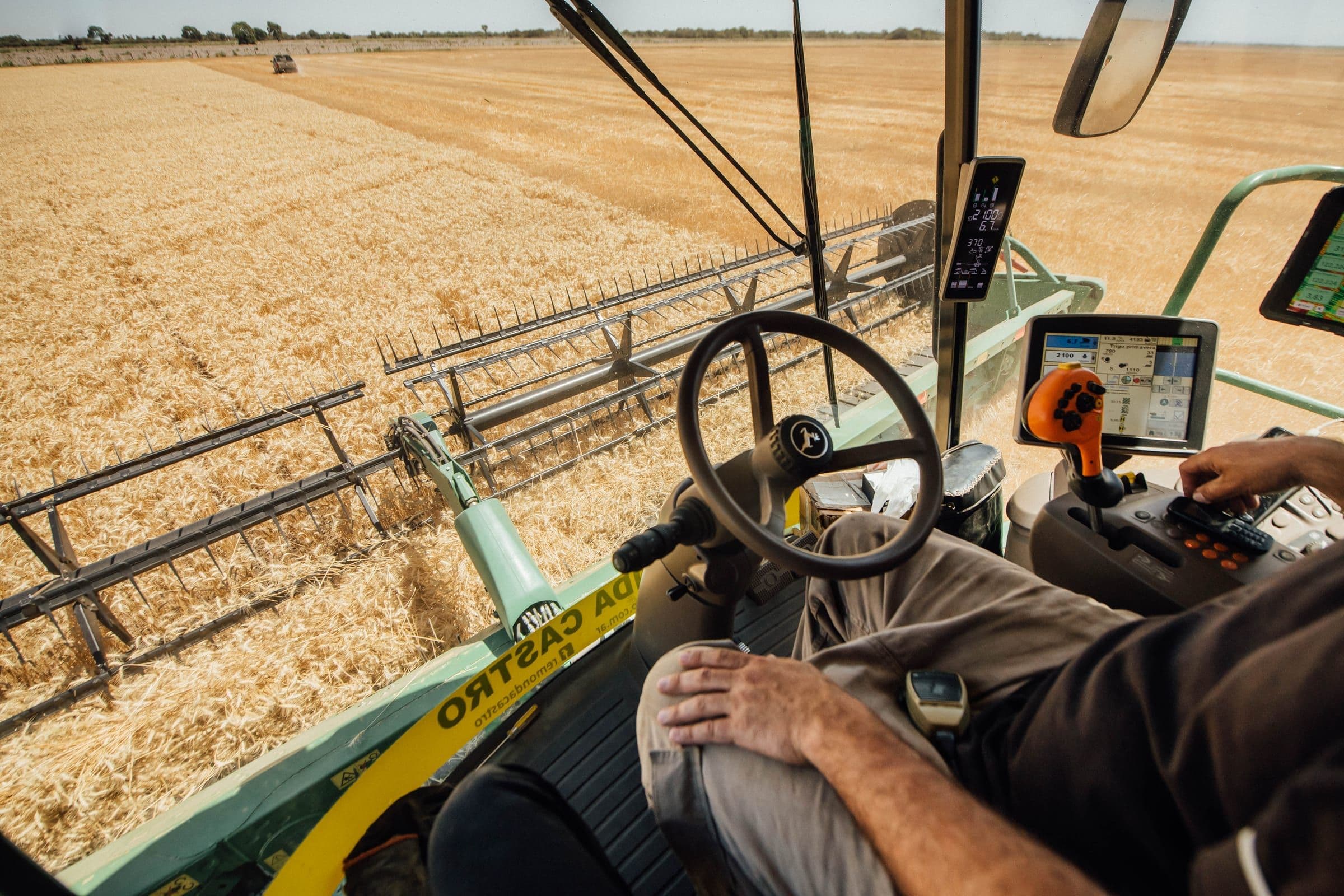 Cosecha de trigo en un campo de Viel Agro Global