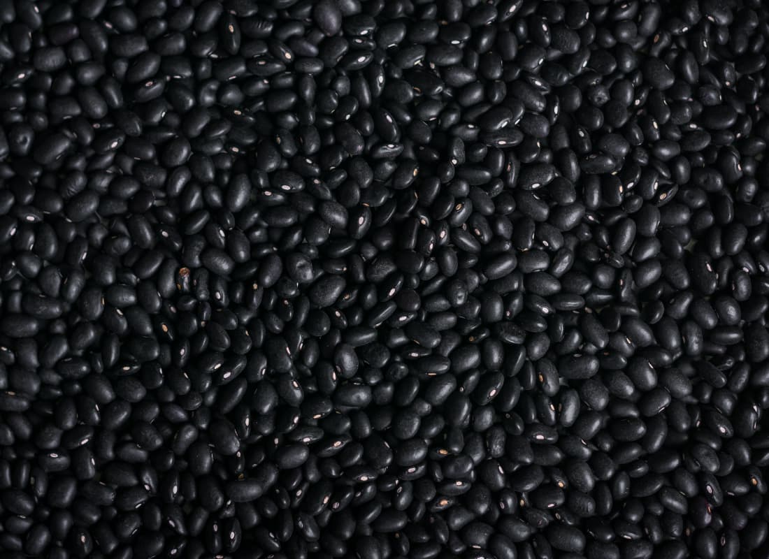 Poroto negro de exportación de Viel Agro Global
